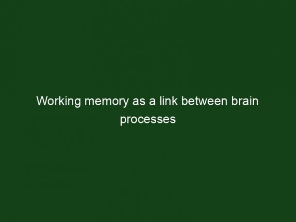 Working memory as a link between brain processes - Key To Study