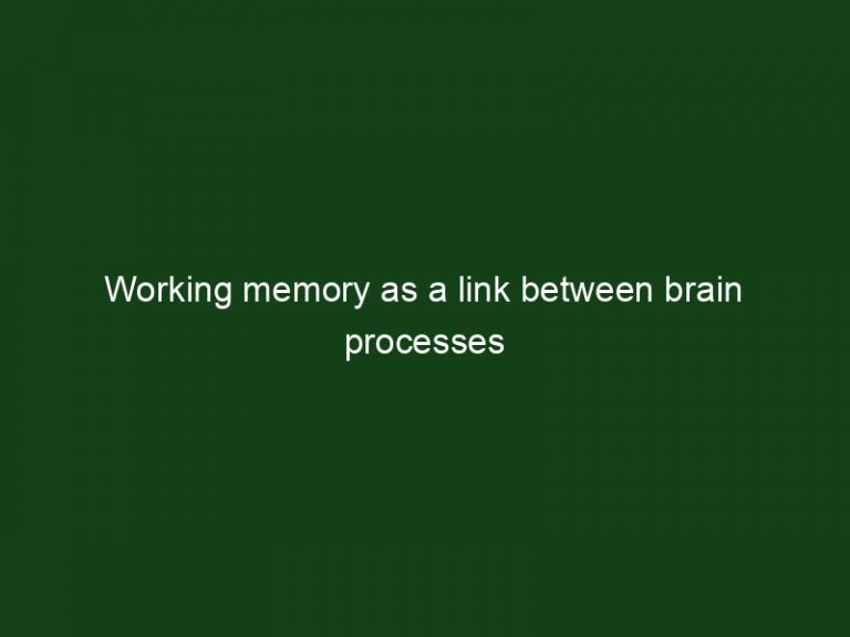 Working memory as a link between brain processes - Key To Study