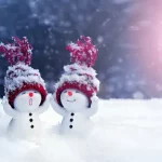 How to Get Prepared for the Winter Holidays