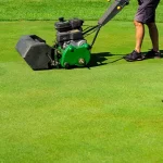 Choosing the Best Sod Cutter for Sale