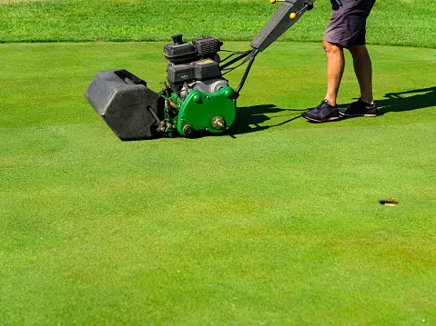 Choosing the Best Sod Cutter for Sale