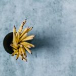 Self-regulated learning
