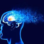 What is olfactory memory?