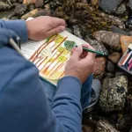 How Drawing  Can Help To Improve Your Memory