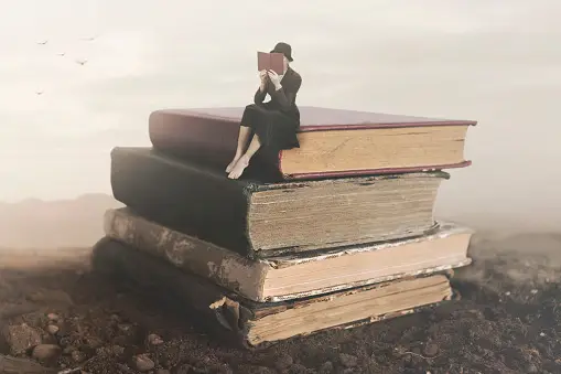 Why Curiosity Enhances Learning