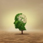 Do We Really Use Only 10% of Our Brains?