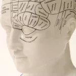 Mental Models