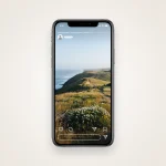 Instagram Story viewer