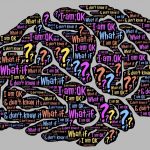 brain misconceptions